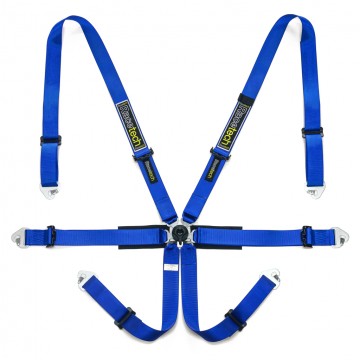 Racetech - Pro International 6-Point Harness on Bleeding Tarmac